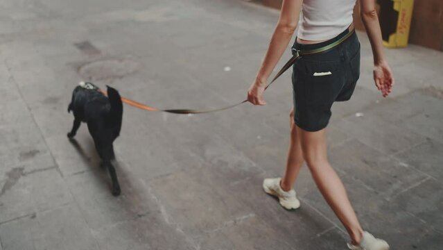 Girl walks along street of gray paving slabs in the old town with her black dog. Only the legs of walking girl