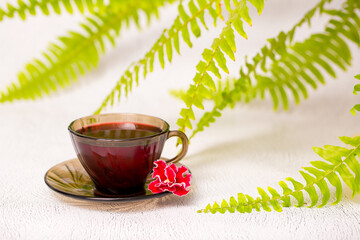 Flower tea karkade. Delicious herbal tropical drink on a bright table. A cup of pink tea from dry hibiscus petals, a natural medicinal drink against the background of fern leaves. Tropical morning.