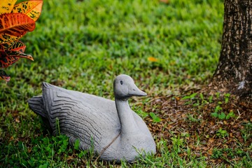 Plastic Duck lawn ornament on green grass