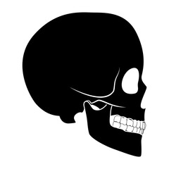 Skeleton Human skull silhouette head body bones - cranium, facial, calvaria, mandible, skullcap, sinuses side view flat black color concept Vector illustration of anatomy isolated on white background