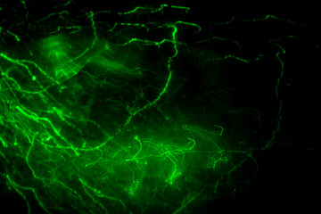 Green laser light in dark. Blurred background with neon lines.