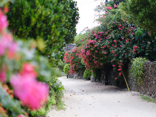 竹富島の町並み
