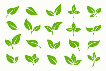 Leaf Icon Collection Label Logo Vector Set Template