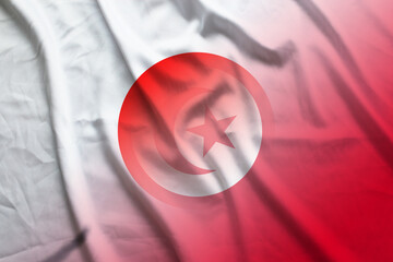 Japan and Tunisia official flag international relations TUN JPN