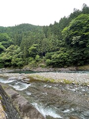 川C