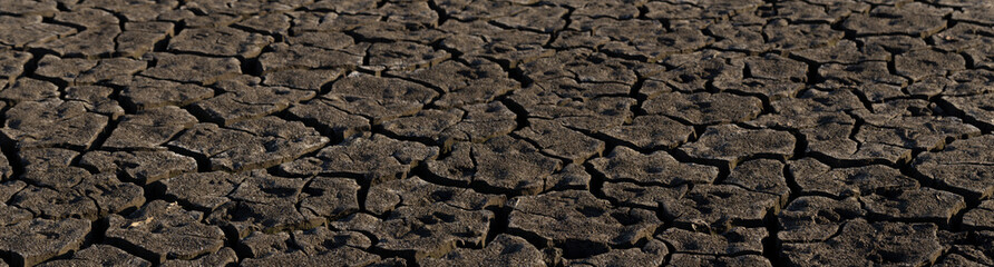 Earth cracked because of drought. The global shortage of water on the planet. Global warming concept. Dry cracks in the land.