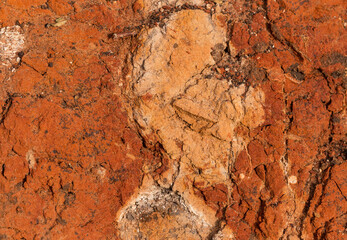Sedimentary rocks with a high content of iron oxide. Red soil, loam. The texture of the soil.