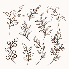 leaves foliage line art collection