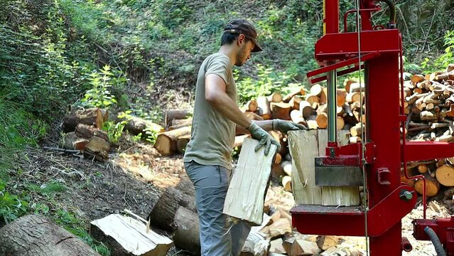 A man uses a wood splitter to carve through fresh timber logs 
