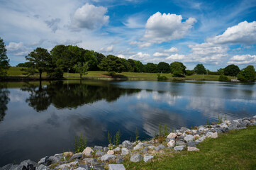 reflective lake in the park