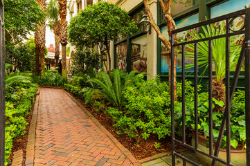 street in the village