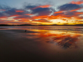 Fototapeta na wymiar Winter sunrise at the seaside with man and dog
