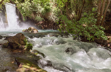 Banias  waterfall in a Hermon Stream Nature Reserve in northern Israel
