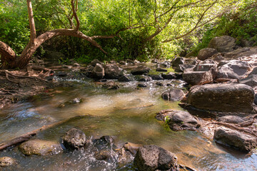 Fast  flowing Jalaboun stream in the Golan Heights, northern Israel