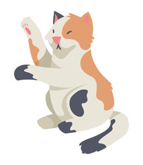 orange and gray cat