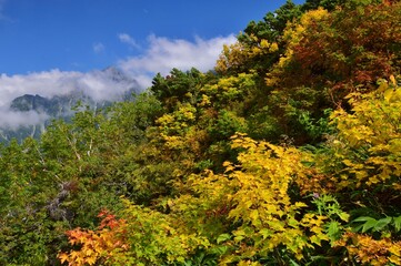 紅葉の北アルプス 立山連峰　