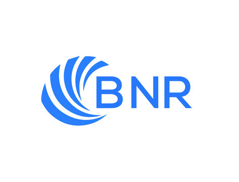 BNR Flat accounting logo design on white background. BNR creative initials Growth graph letter logo concept. BNR business finance logo design.
