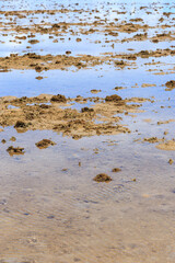 由布島の海岸　沖縄　日本