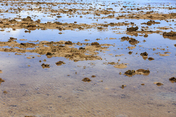 由布島の海岸　沖縄　日本