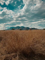 paisaje monta&ntilde;a 