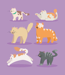 six cute cats mascots