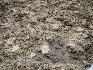 Cow dung gathered in indian village rural areas as bio fertilizer