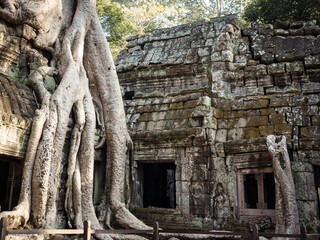 Naklejka premium Ta Prohm Temple in Cambodia