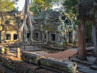 Ta Prohm Temple in Cambodia