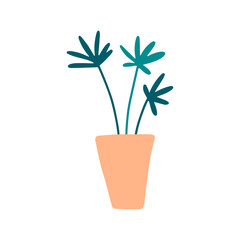 Single hoseplant in a pot. Tropical leaves for your t shirt design, postcard, poster. Hand drawn vector illustration on a white background.