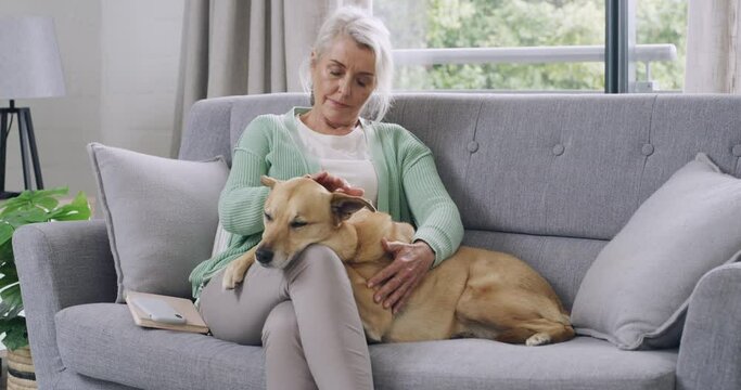 Content senior woman sitting on sofa at home and petting her mixed breed dog. Lonely retired elderly woman bonding and touching her domestic animal in her lounge at home after ending cellphone call