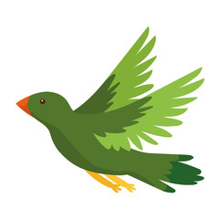 buzzer bird animal spice