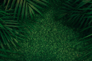 Green Background. Nature Background. Leaf Background. Background for Edit and Design. 