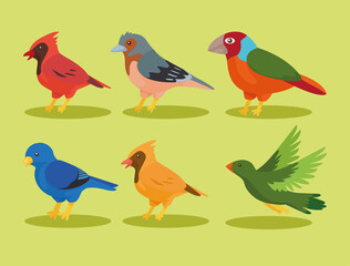 Obraz na płótnie Canvas six birds species icons