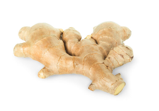 Fresh ginger root with sliced on white background for herb and medical product concept