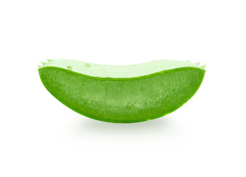 Aloe vera with slice isolated on white background, herb and medical