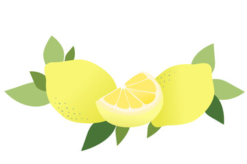 Group of lemon fruits with leaves vector for logo