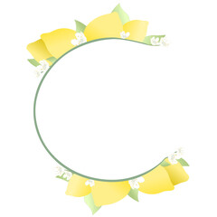 Circle frame with flowers and lemon illustration design