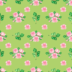 Pattern with pink roses. Watercolor vintage illustration. Isolated on a green background.