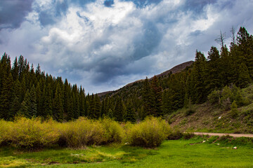 Fototapeta na wymiar Rocky Mountain State Park, Colorado
