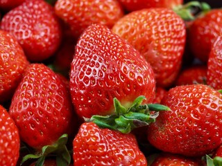 신선한 유기농 과일 딸기