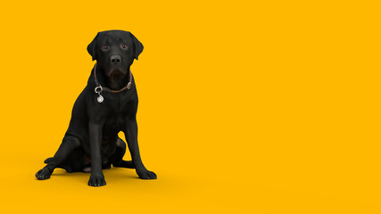 black dog on a yellow background with hand food banner for animals