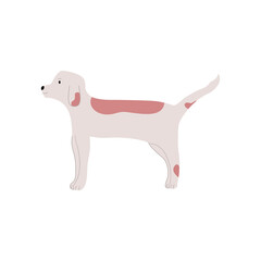 beagle puppy on white background, cute dog drawing line art, vector illustration in flat cartoon design.