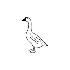 Duck drawing line icon on white background, vector illustration in flat cartoon design.