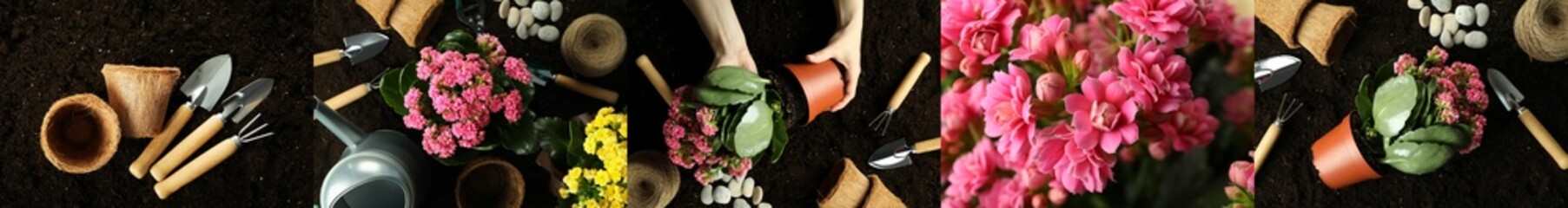 Photo collage of gardening accessories, concept of gardening