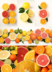 Photo collage of different citrus fruits, concept of fresh fruits