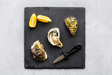 Fototapeta na wymiar Fresh opened Oysters close-up on gray concrete background with sliced lemon. Healthy sea food. Gourmet food. Flat lay, top view, mockup, overhead, template with copy space. Online order and food