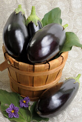 A few black eggplants
