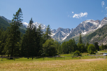 Fototapeta na wymiar Beautiful landscape of Macugnaga in Valle Anzasca at the foot of Monte Rosa in the summer season, Piedmont, Italy