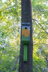 The funny painted birdhouses on the tree. Handmade wooden nesting box.