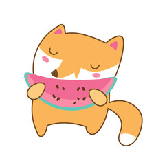 Cute fox eats watermelon. Color vector illustration in Japanese kawaii style for design. Forest cartoon animal.